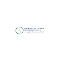 Divine Physiotherapy & Chiropractic Clinic logo - Similar company to Techninja Solutions
