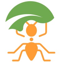 Little Ants Preschool logo - Similar company to Vip Course