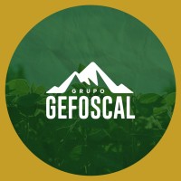Grupo Gefoscal logo - Similar company to Procesa Ltda