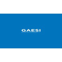 GAESI logo - Similar company to Teleconex