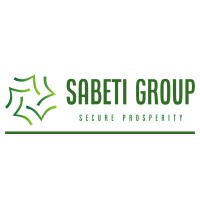 Sabeti Group logo - Similar company to Sabeti & Partners