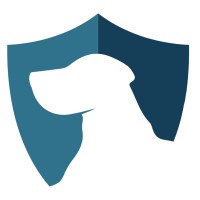 BirdDog Security logo - Similar company to Synercomm Inc.
