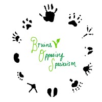 Bruins Opposing Speciesism logo - Similar company to Impacked