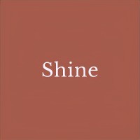 Shine logo - Similar company to Andrea|Ragosta