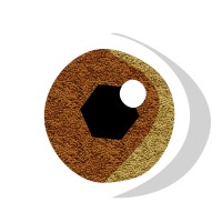 LENTiLHAS LDA logo - Similar company to Zing Developers, Lda
