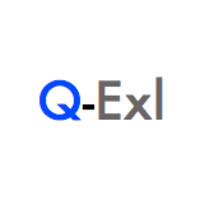 Q-Exl Partners logo - Similar company to Cims - Clinical Information Management Support