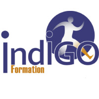 Indigo Formation logo - Similar company to Noumene