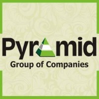 Pyramid Group Of Company logo - Similar company to Morphic Architecture