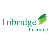 Tribridge Learning logo - Similar company to Cupcake Learning