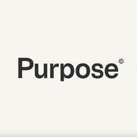 Purpose Digital logo - Similar company to Jds Design - Growth Acceleration Agency