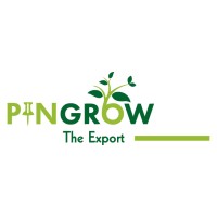 PINGROW IMPEX LLP logo - Similar company to Stellar Electronics Ltd.
