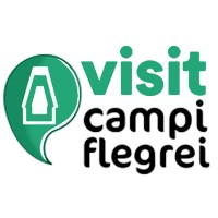 Visit Campi Flegrei logo - Similar company to Polyworld Systems S.R.L.