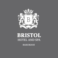 Bristol Bakuriani logo - Similar company to Bakuriani Inn