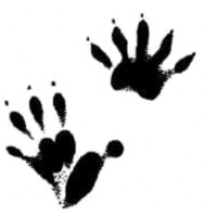 Possum's Landscape and Pest Control Supply LLC logo - Similar company to Multiplastics, A Division Of Curd Enterprises