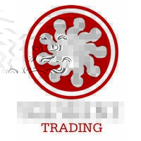 Solshine Trading S de RL de CV logo - Similar company to Franmara Inc