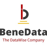 BeneData Services LLP logo - Similar company to Vimara