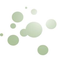 HOLLANDSGROEN logo - Similar company to Van Der Tol B.V. - Gardeners And City Landscaping