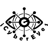 iCyberEyes logo - Similar company to Secure3 Systems Ltd
