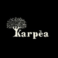 KARPEA S.A. logo - Similar company to Medbest Sa