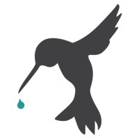 The Hummingbird Project (Ngo)