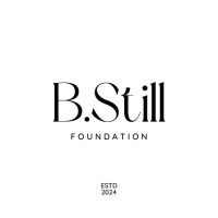 B.Still Foundation logo - Similar company to Gh Skills Solutions