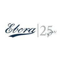 Ebora Process Automation logo - Similar company to Jysk Trykluft