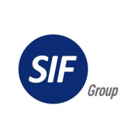 Servicio internacional de Fletes S.A. logo - Similar company to Ltm · Logística Total Mercosur