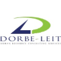 Dorbe-Leit Consulting Limited logo - Similar company to Dolan Managers Limited