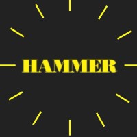Hammer Publishers Pvt. Ltd. logo - Similar company to Shreekeshar Printers And Publishers