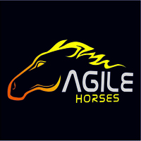 Agile Horses logo - Similar company to Seo4Trends -Boost Your Online Visibility Today