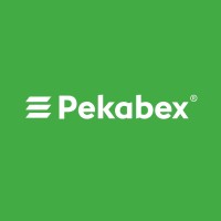 Pekabex logo - Similar company to Erbud Group