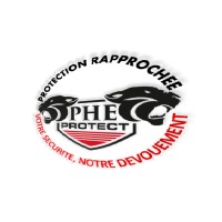 PHE PROTECT SECURITY logo - Similar company to Pegasus Protection