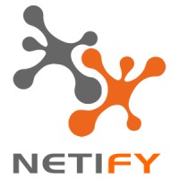 Netify Srl logo - Similar company to Mobapps