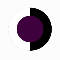 Samsara Capital Partners logo - Similar company to Polymath Solutions Holding Group, Llc