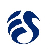 Esoftware logo - Similar company to Digitilizeweb