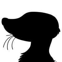 Shadowfall Studios logo - Similar company to Bitpet