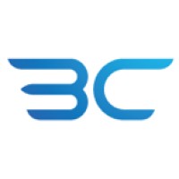 Britton Consulting