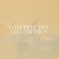 Introspective Electronics