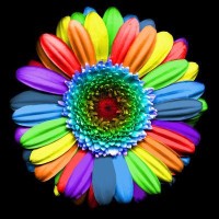 Limitless Learning LLC logo - Similar company to Inquiring Minds Bds