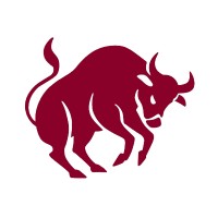 GoBulling logo - Similar company to Simply Systems