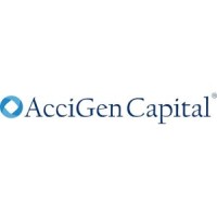Accigen Capital Group logo - Similar company to Agencia Especializada De Información/Jigh.Info