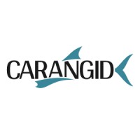 Carangid - marketplaces and proptechs consulting logo - Similar company to Vertigo Property Group