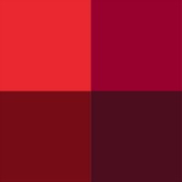 Barossa Young Ambassadors logo - Similar company to Foundation Barossa