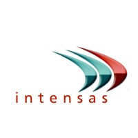 Intensas Networks logo - Similar company to Leancleaning