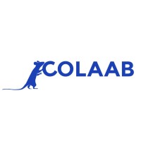 Coalition to Illuminate and Address Animal Methods Bias (COLAAB) logo - Similar company to Replacing Animal Research