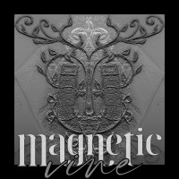 Magnetic Vine logo - Similar company to Svm E-Marketing Solutions