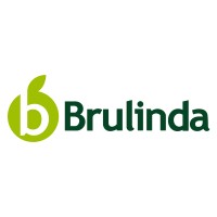 Brulinda logo - Similar company to Flylinkers