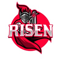 Risen Network logo - Similar company to Supercool Group