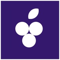 FinBerry logo - Similar company to Finberrymx