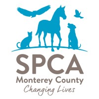 SPCA Monterey County logo - Similar company to Kimshealth Clinical Engineering